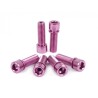 VIS DE POTENCE SHADOW HOLLOW ROUGE (X6)